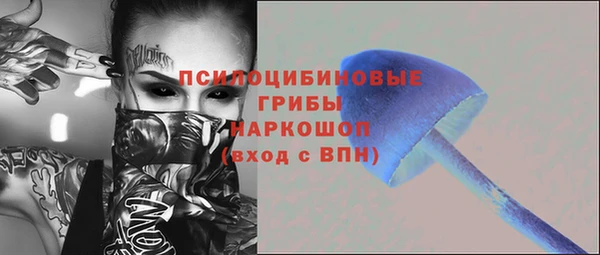 соль ск Алексеевка