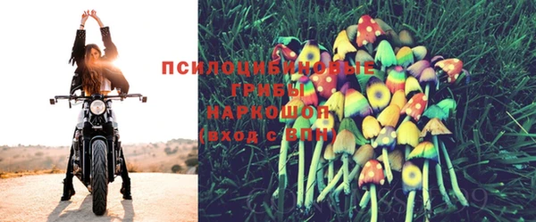 хмурый Абинск