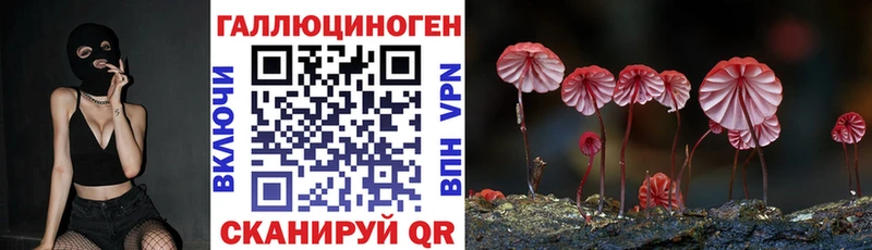 KRAKEN tor  Плавск  Псилоцибиновые грибы Psilocybe 